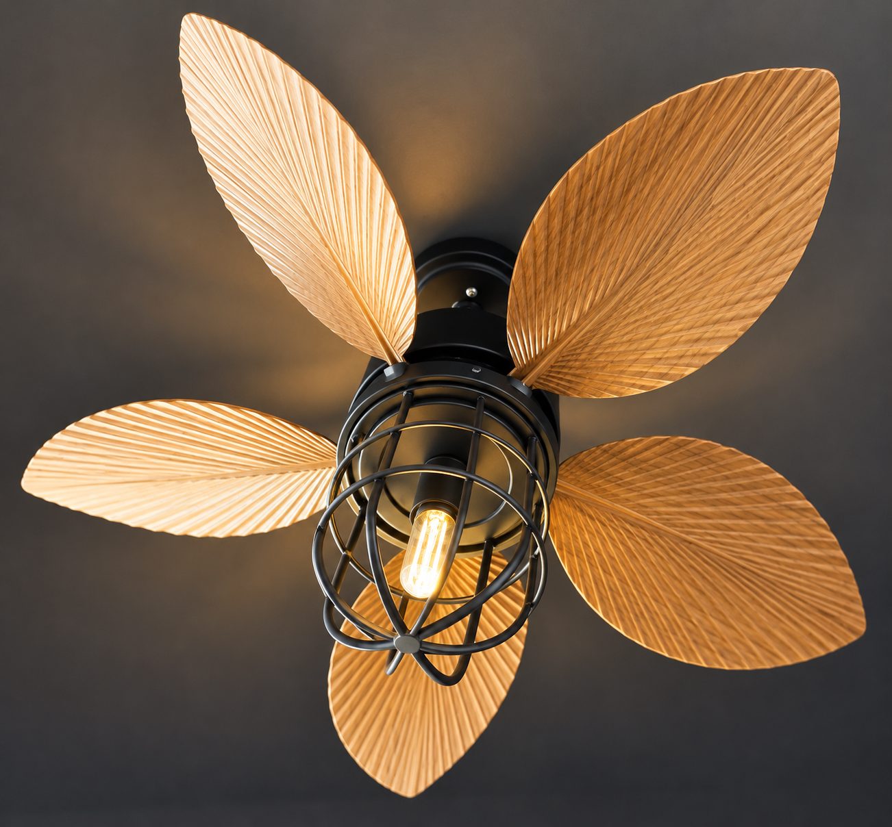 CEILING FAN - BLACK+WALNUT 2115